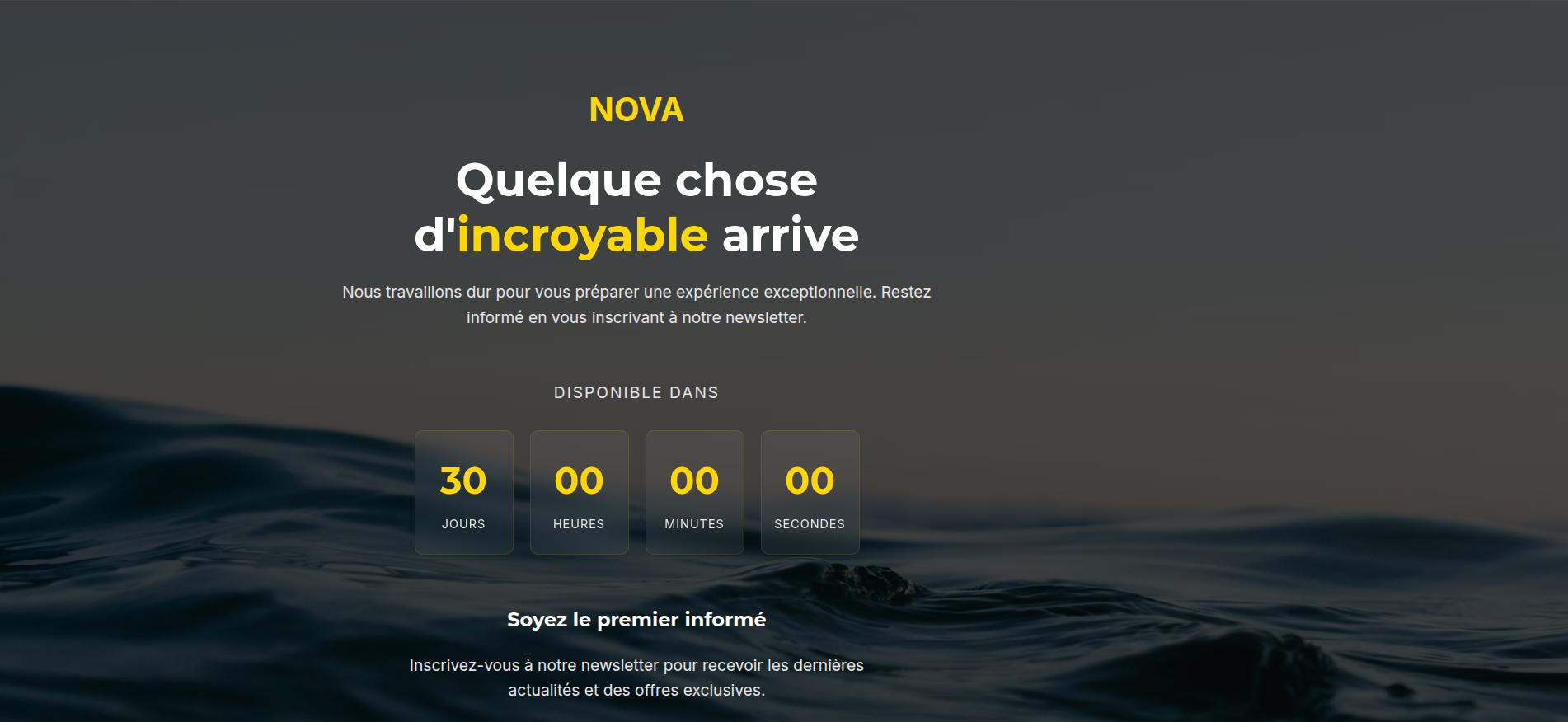 Site d'atterrissage produit